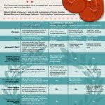 RebootIllinois presents an info graphic of the contrasting pension plans. Credit: RebootIllinois.com
